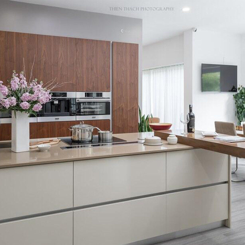 Blum Hardware Maßstab Matte Stil Wasserdicht Küchenschrank Set für Ihr Zuhause
